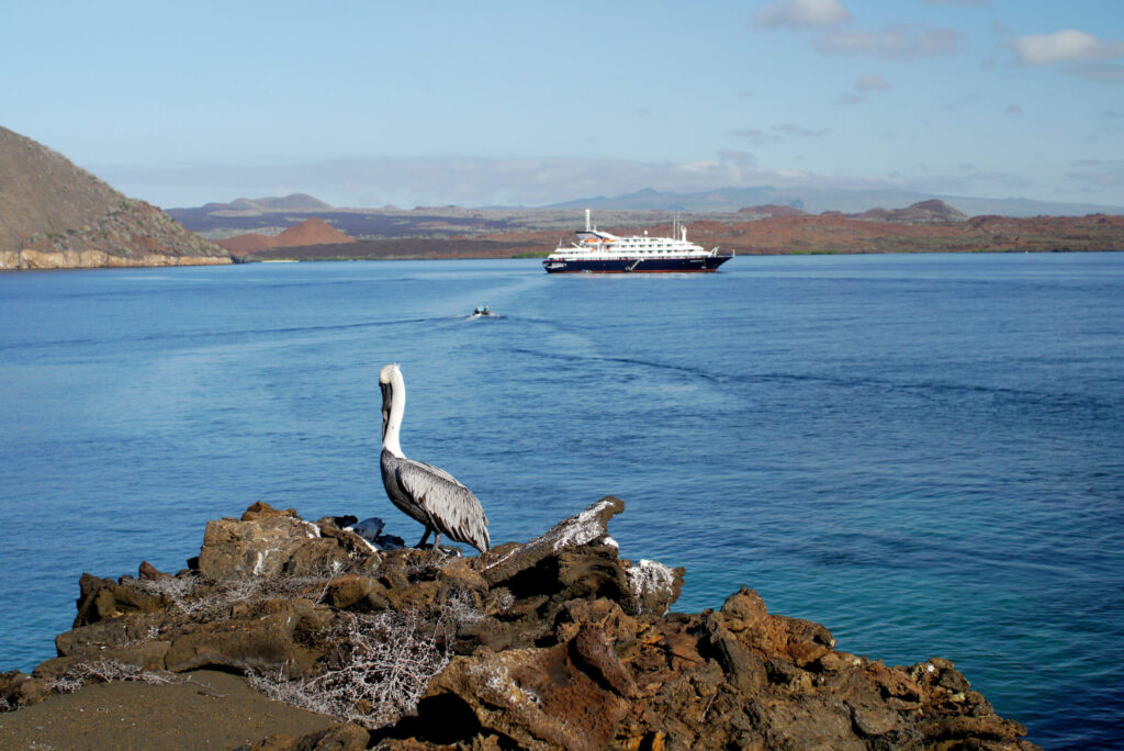 Expeditionskryssning Galapagos